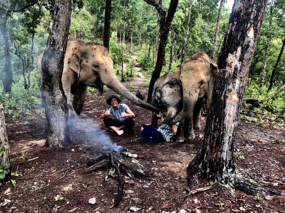 about-us-elephant-freedom-village