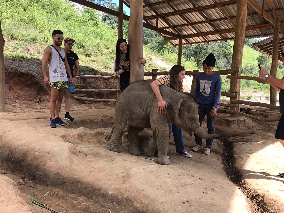 about-us-elephant-freedom-village